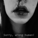 malignedebiyati avatar