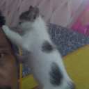 malikmatasworld avatar