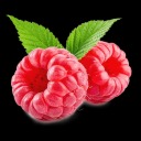 malinas-shitpost-archive avatar