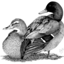 mallardfuck-blog avatar