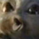 mallory-taylor avatar