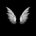 malvikareader avatar