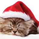 mama-christmas avatar