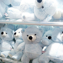 mamabearsthoughts-blog avatar