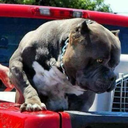 mamakk0740-blog avatar