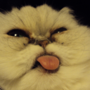 mamimiexplosion avatar