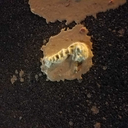 manda-b94-blog avatar