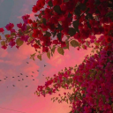 mandarin-reads avatar