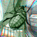 mandible-muncher avatar