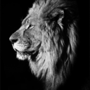 mandingowarrior86 avatar