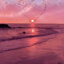 mandyrogowski avatar