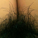 manekineko79-blog avatar