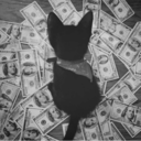 manga-cats-melanin avatar