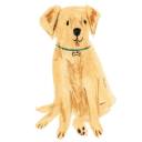 manga-mel-yeyy avatar