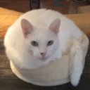 mangafanatic22 avatar