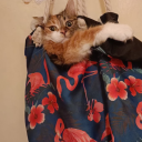 mangafreak1000 avatar