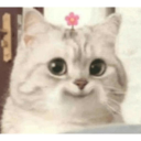 mango-do-things avatar