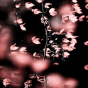 mangobanana-blog avatar