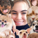 mangomarmalade avatar