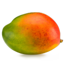 mangos-for-life avatar