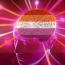 mangroveswampenthusiast avatar