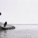 mania-me-ton-caravaggio avatar