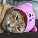 manic-pixie-catgirl avatar