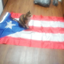 manicdepressive1917 avatar