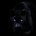 manicethemost171821 avatar