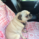 manicpixie7205 avatar