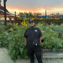 manicpixiedreamnigga avatar