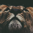 manifestationsofamistress-blog avatar