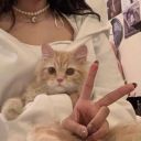 manifestingdiana avatar