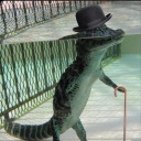 manilovedinosaurs avatar