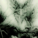 mann3qu1nh3ad avatar