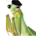 mantisliberationfront avatar
