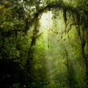 manunist-comifesto avatar