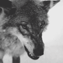 manuscriturar avatar