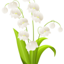 many-fique-blog avatar