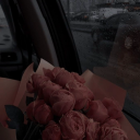 many-wanderings avatar