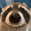 many-ways-to-live avatar