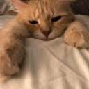 manyakdegilikizlerim avatar