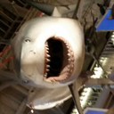 manyetha-darcylock avatar