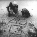 manymanywolves avatar