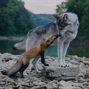 manythingsoflittlesignificance avatar