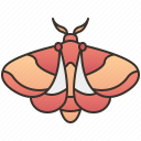 maplesyrupmoths avatar