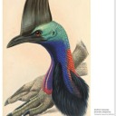 mapletealatte avatar