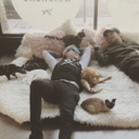 mar-chant-live-without-you avatar