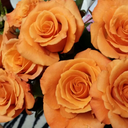 marandarae294 avatar