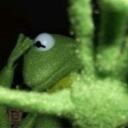 marasefingpage avatar